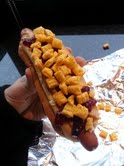 Bedford Road’s New Neighbor: The Pleasantville Dawg House