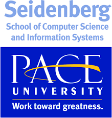  Seidenberg is made up of 81% male students. 