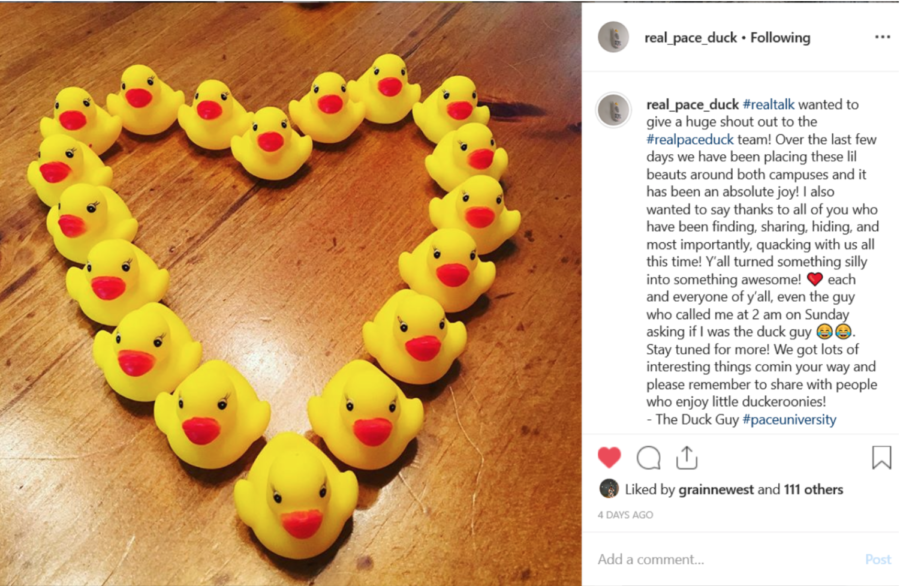 Pace Duck Trend “Quacks” People Up on Campus