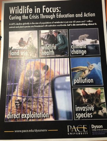 Institute for Sustainability and the Environment’s Debut Event Informs Student on the Issue of Poaching
