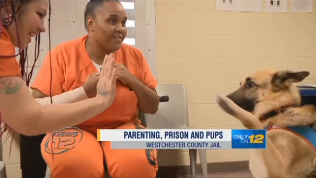 Inmates apart of the Parenting, Prison and Pups program