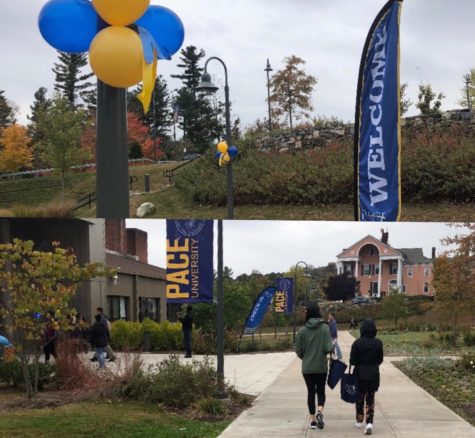 Pace officially becomes a test-optional university