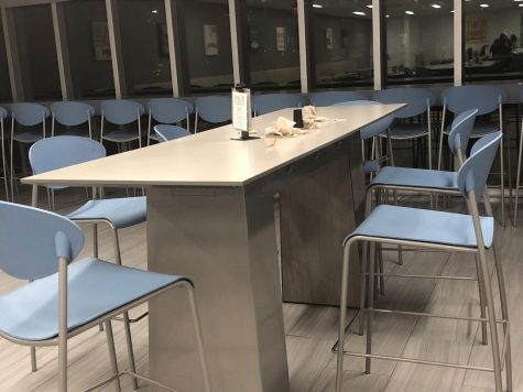From trash to stink bugs: the lack of cleanliness on campus
