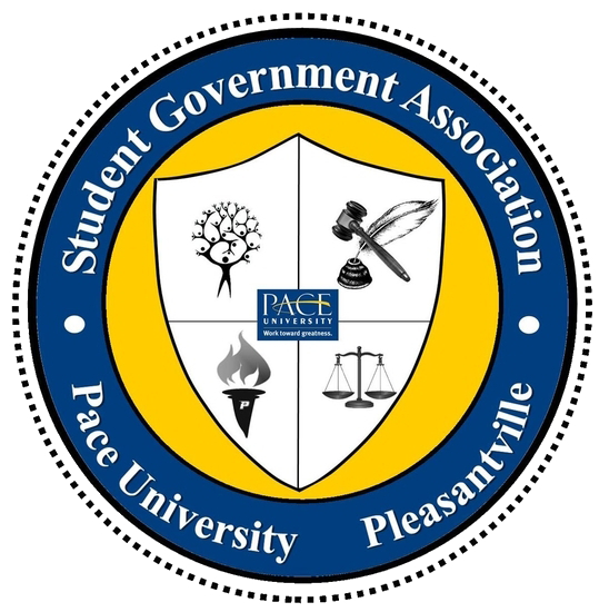 A Look Into Student Government Association’s Executive Positions – THE ...