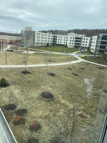 Update on pass/fail option for spring semester