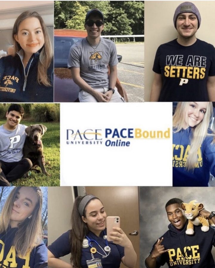 Since Paces annual accepted student event, Pace Bound, could not take place in person this year, the university decided to hold it online via Zoom. 