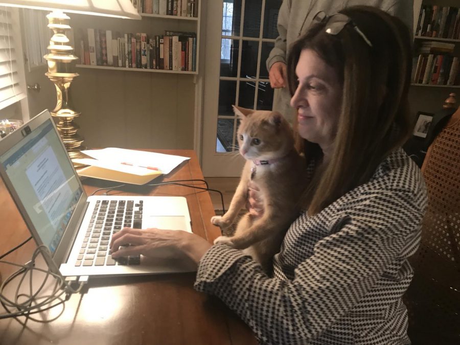 The Director of Career Services, Paula King, works from home with the company of her cat Morgan. 