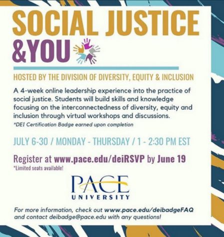 The Department of Diversity, Equity, and Inclusion is hosting an online social justice workshop this July.