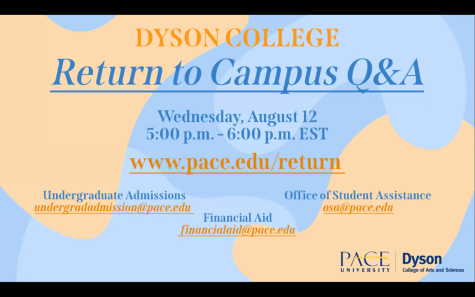 Dyson hosts Zoom session with Students and Parents