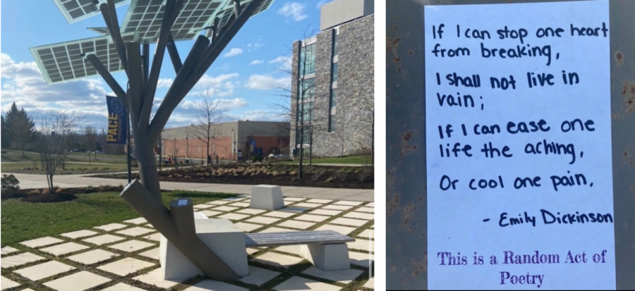 An Emily Dickinson poem posted onto the solar tree on Paces Pleasantville campus.