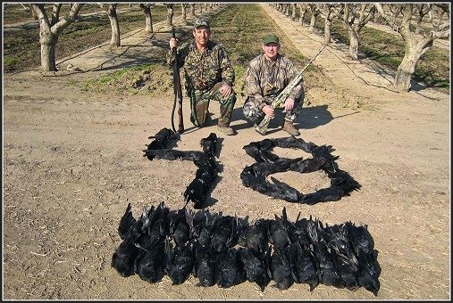 Rip Van Winkle Rod and Gun Club ’s Crow Killing Competition. Palenville, NY, 2014. 