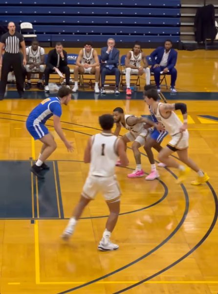 Point Guard Tray Alexander dribbles through traffic vs New Haven (pacembb/IG)