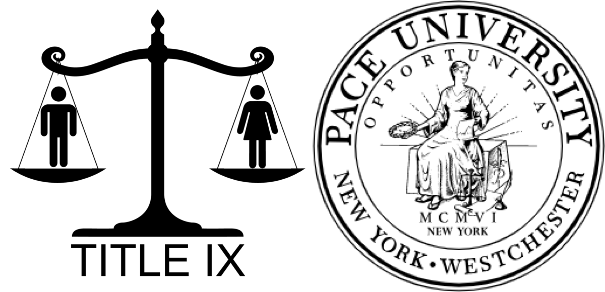 Pace University's Title IX Office has not fully met the needs of the community. (World Without Genocide, Pace University)
